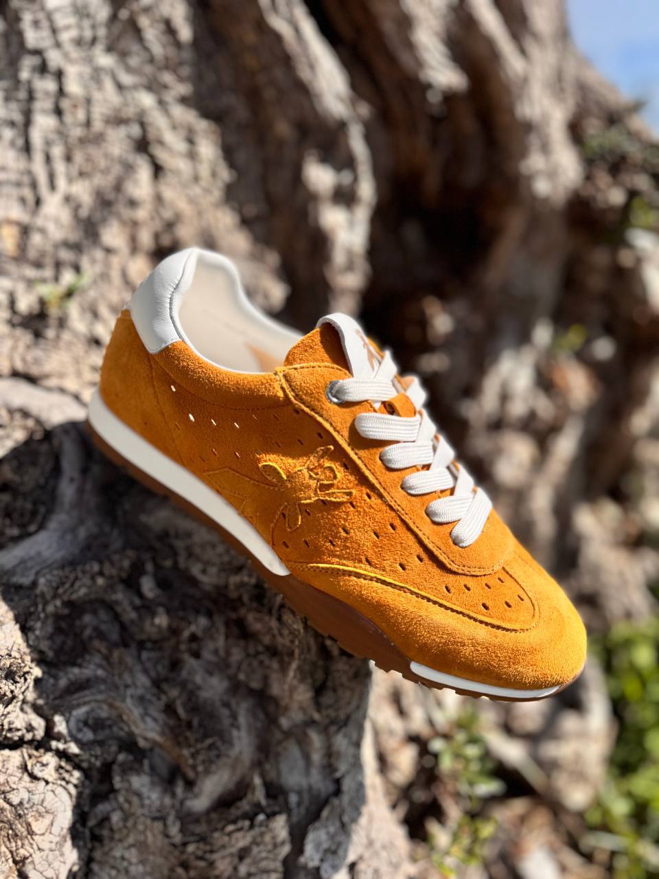 Фото Roberto Serpentini