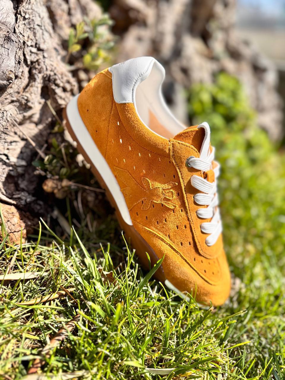 Фото Roberto Serpentini