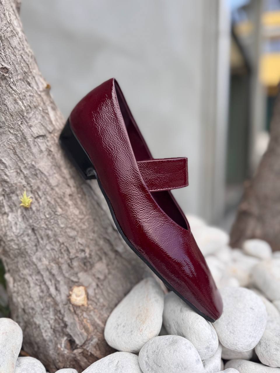 Фото Roberto Serpentini