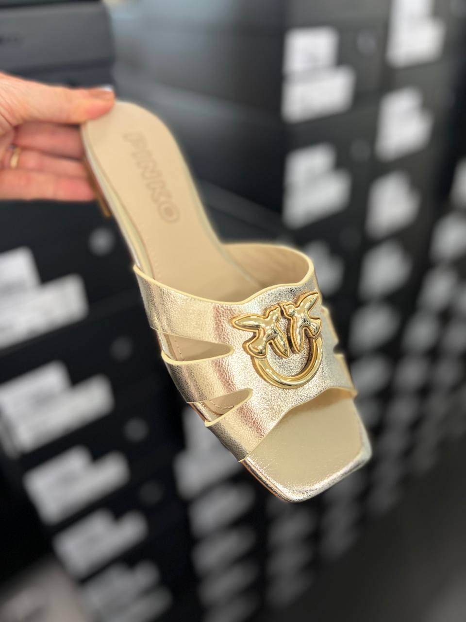 Фото Roberto Serpentini