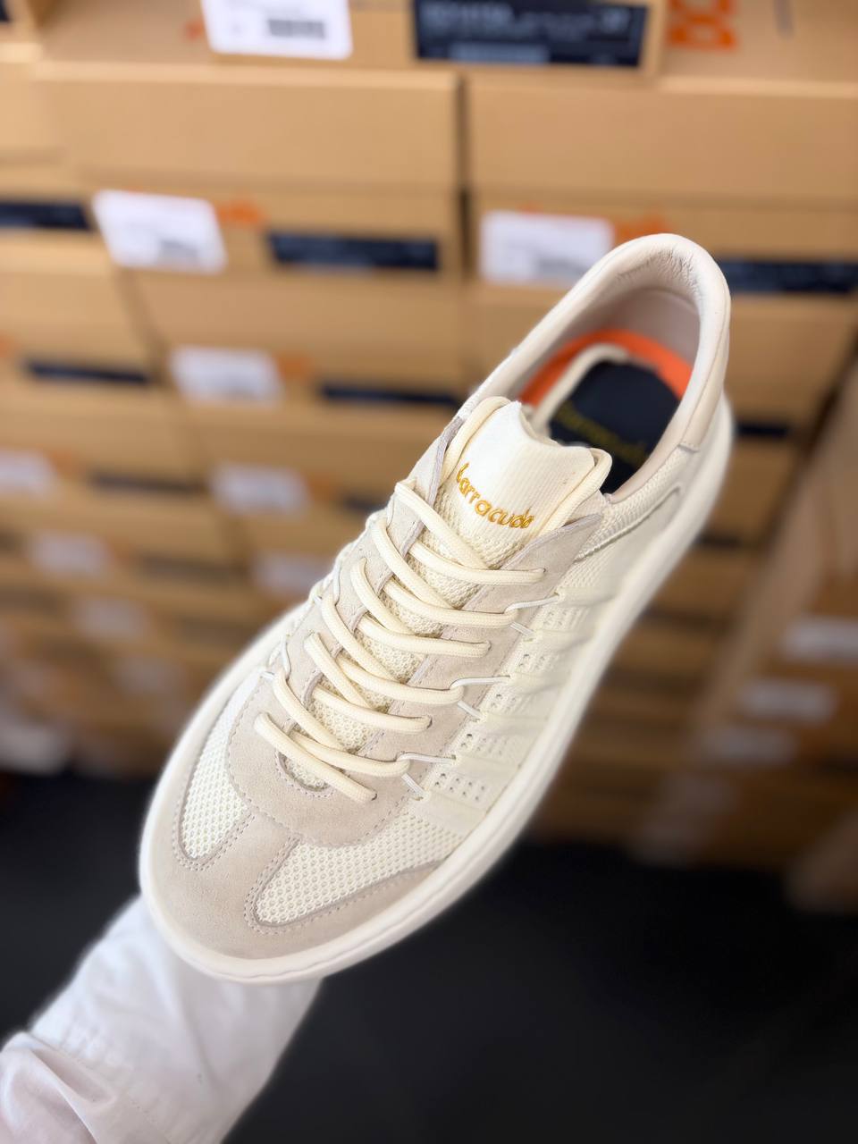 Фото Roberto Serpentini