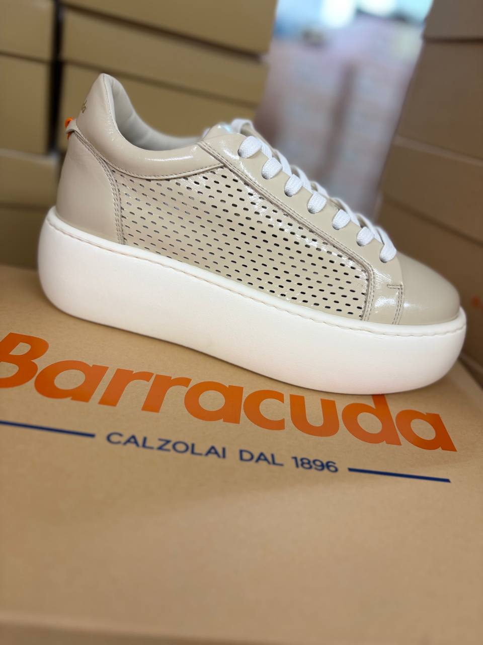 Фото Roberto Serpentini