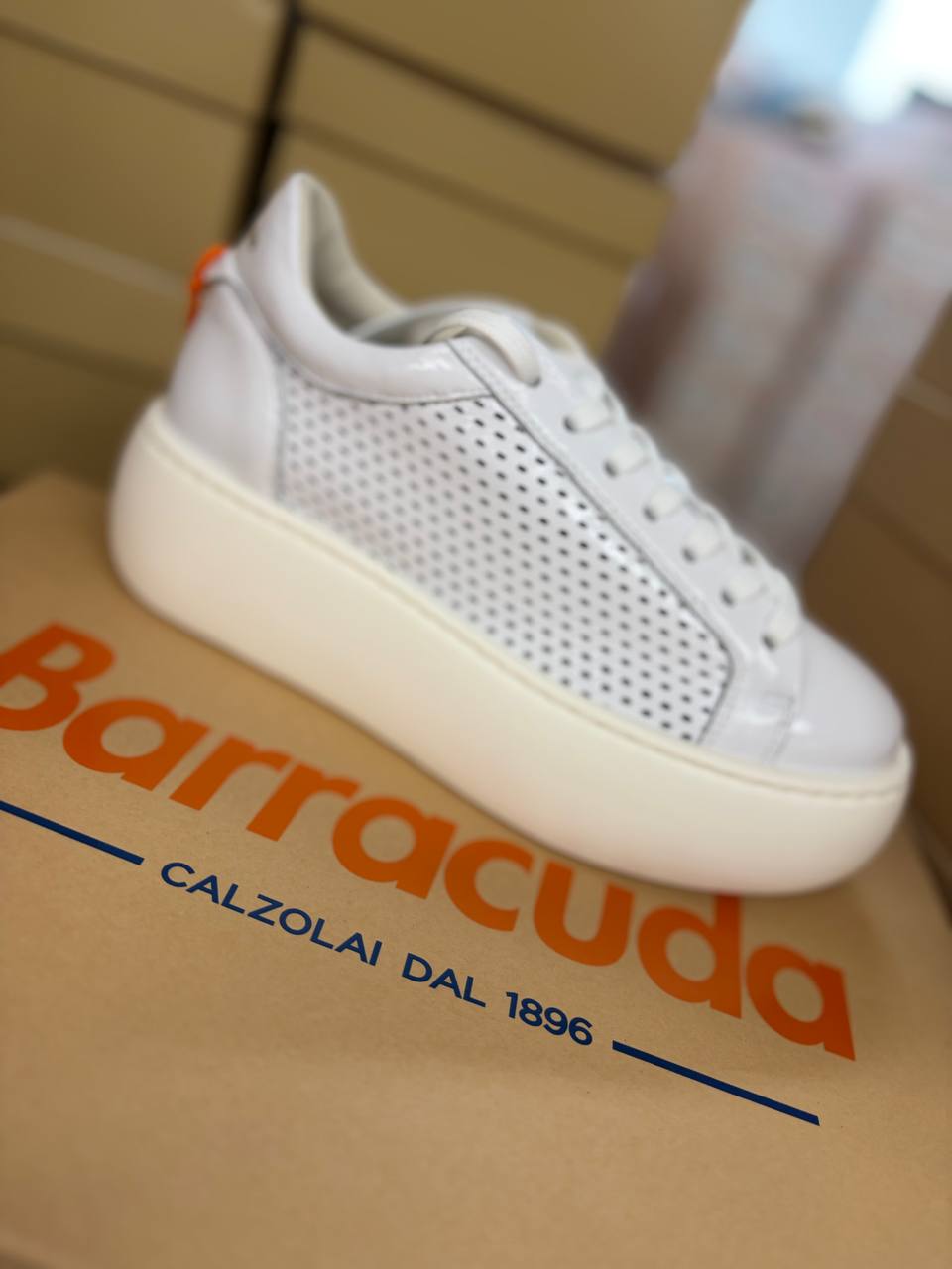 Фото Roberto Serpentini