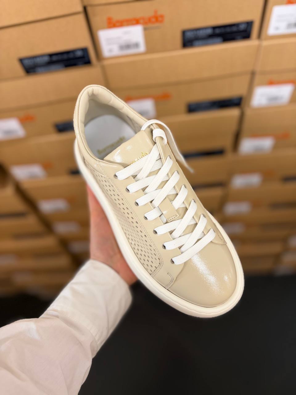 Фото Roberto Serpentini