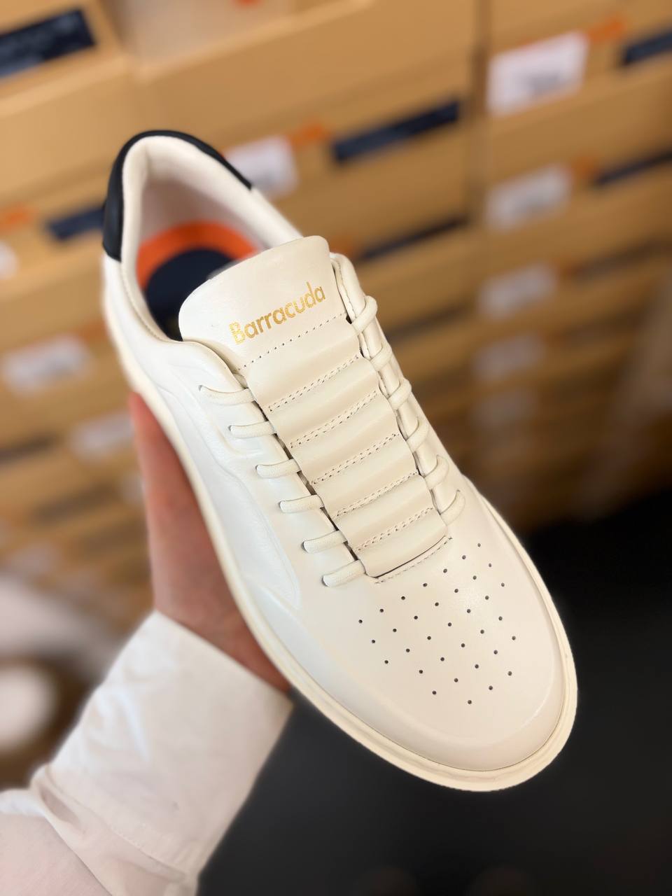 Фото Roberto Serpentini