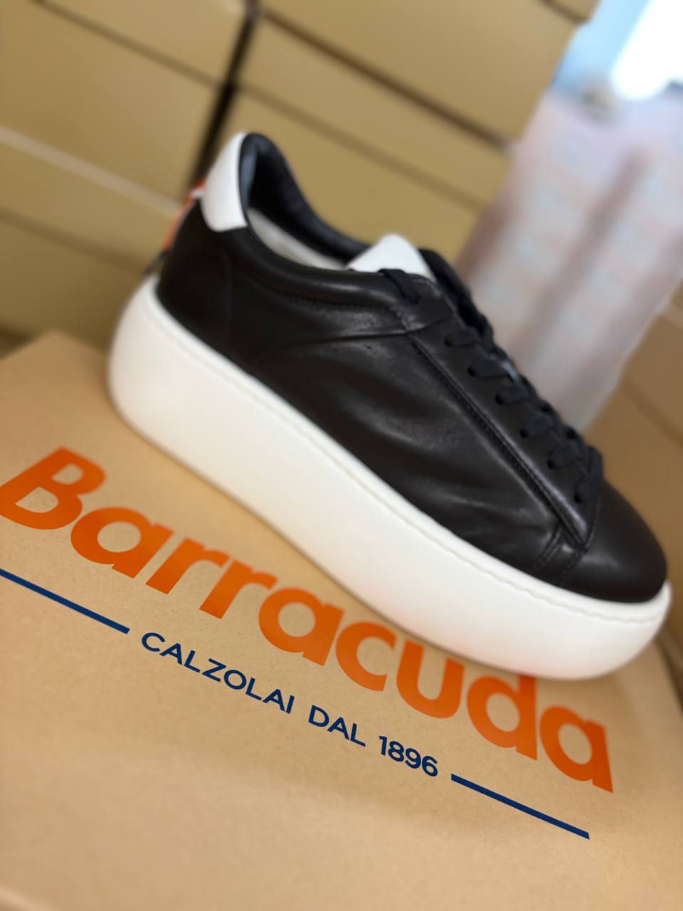 Фото Roberto Serpentini