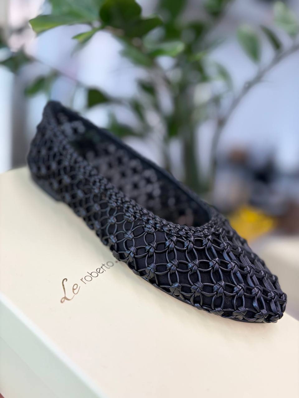 Фото Roberto Serpentini