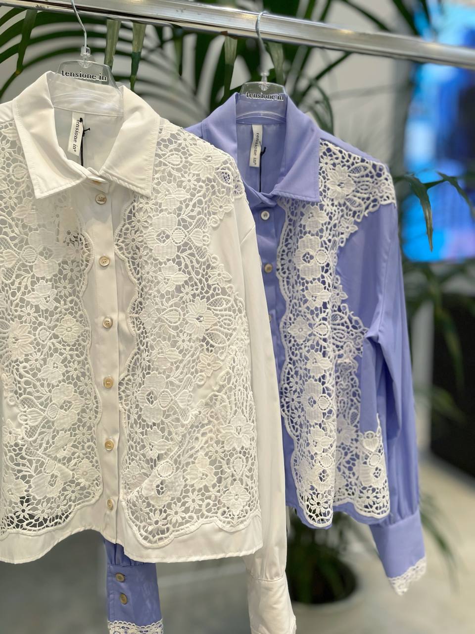 Фото Tensione in