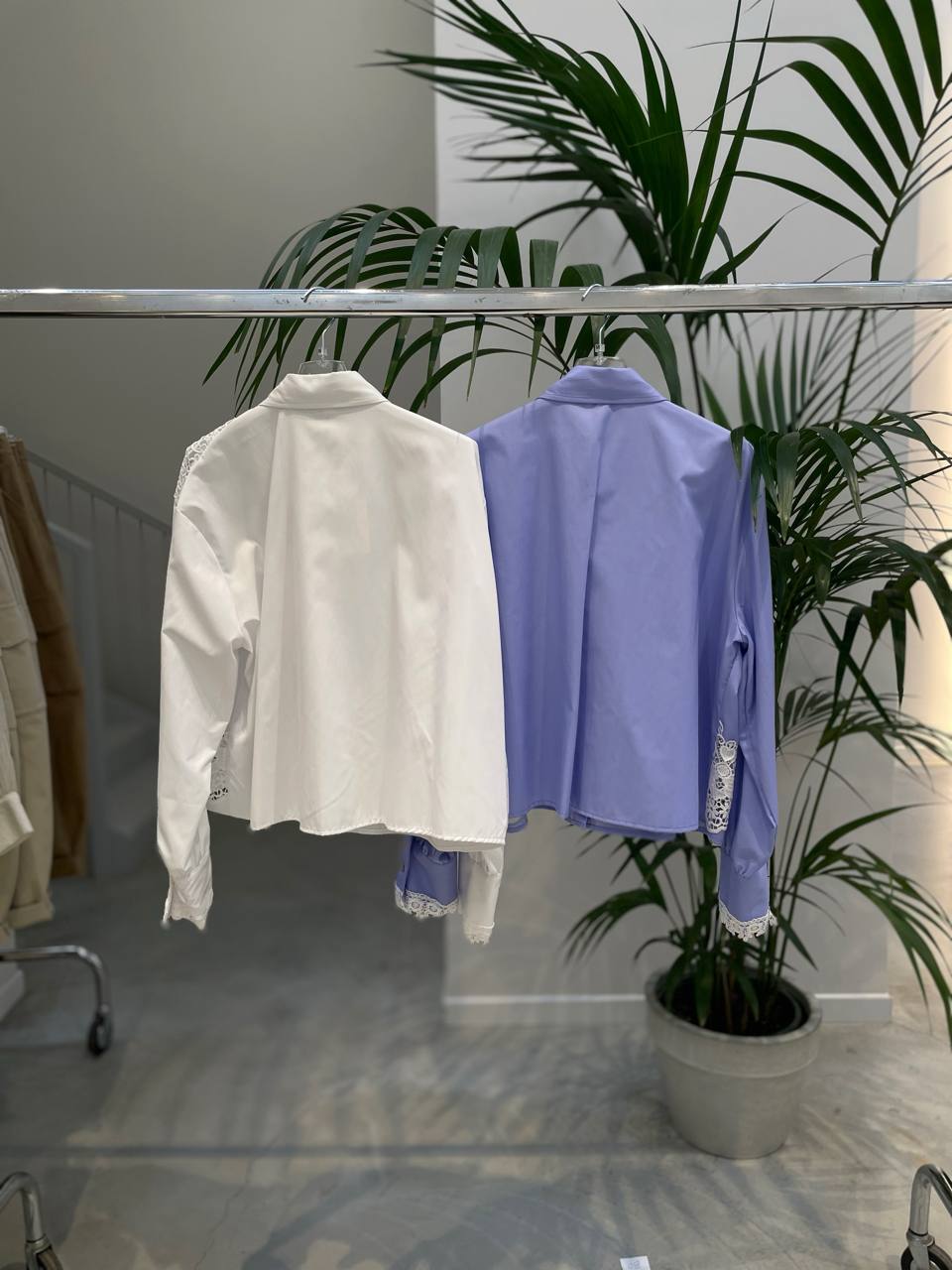 Фото Tensione in