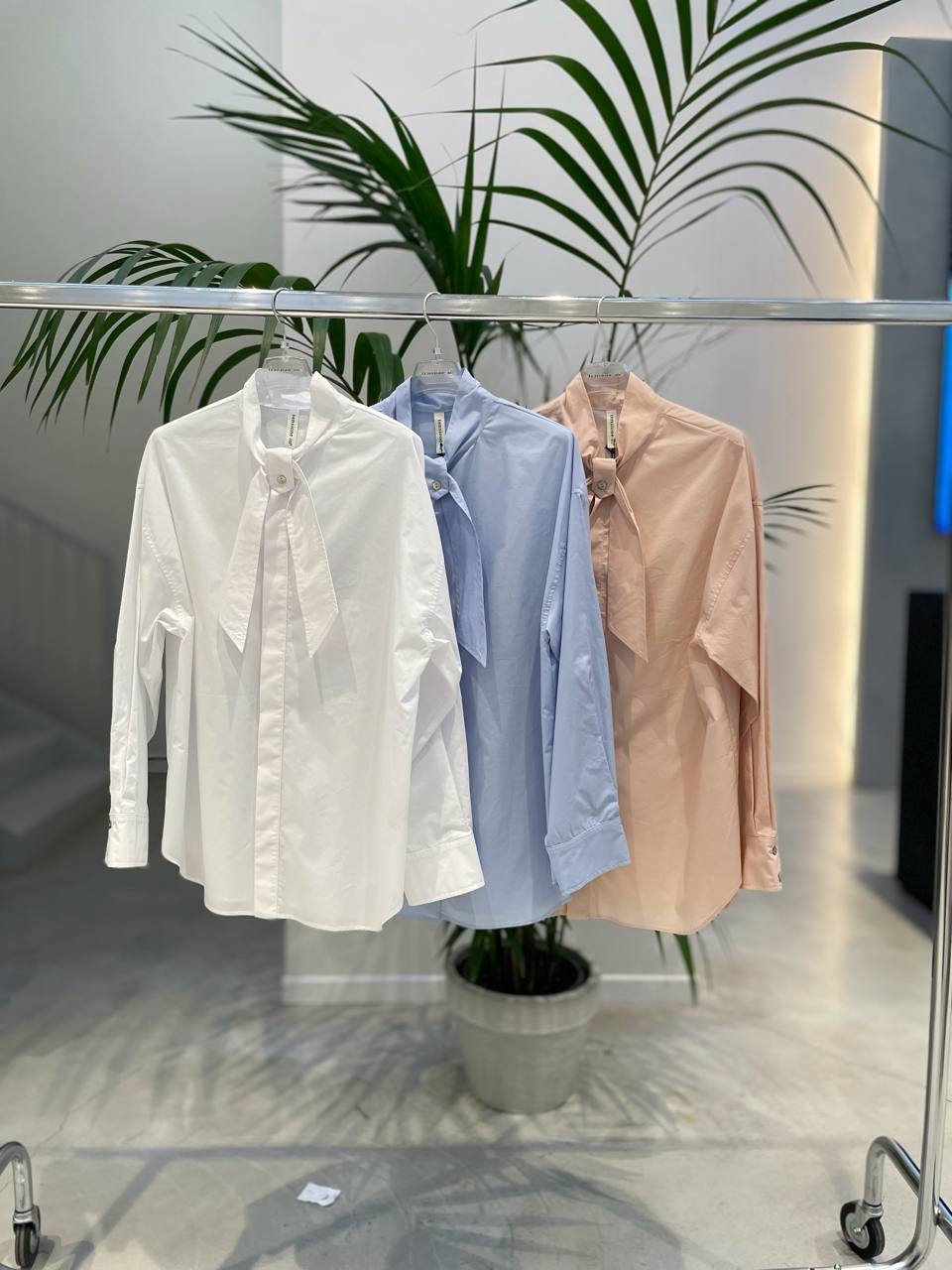 Фото Tensione in