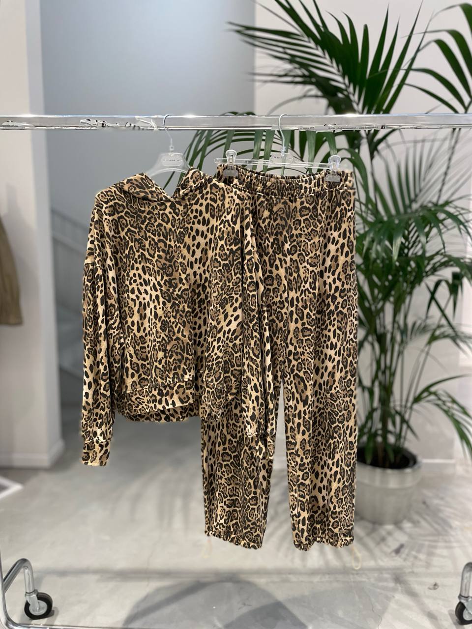 Фото Tensione in