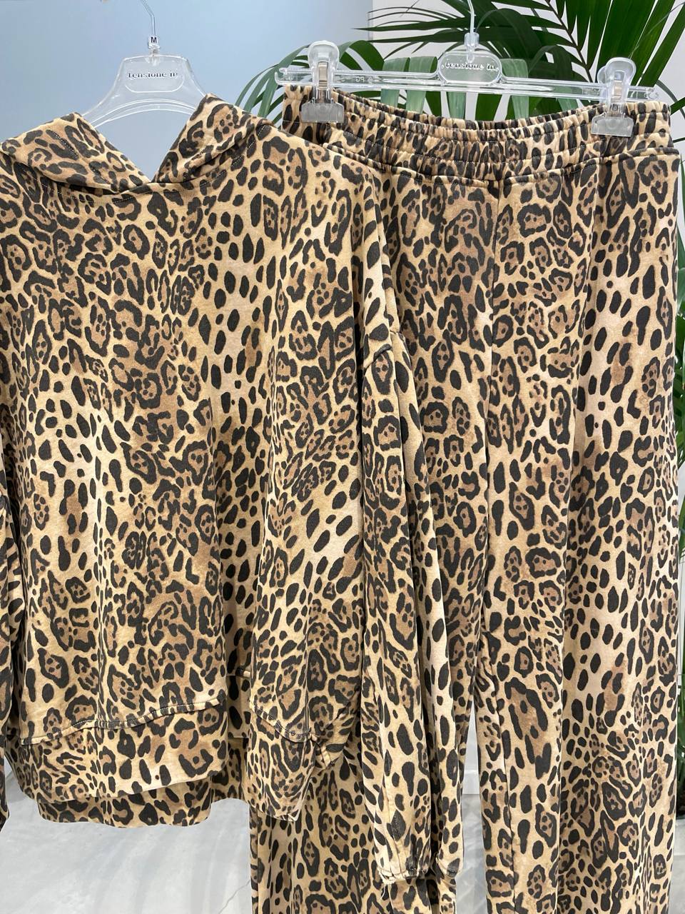 Фото Tensione in