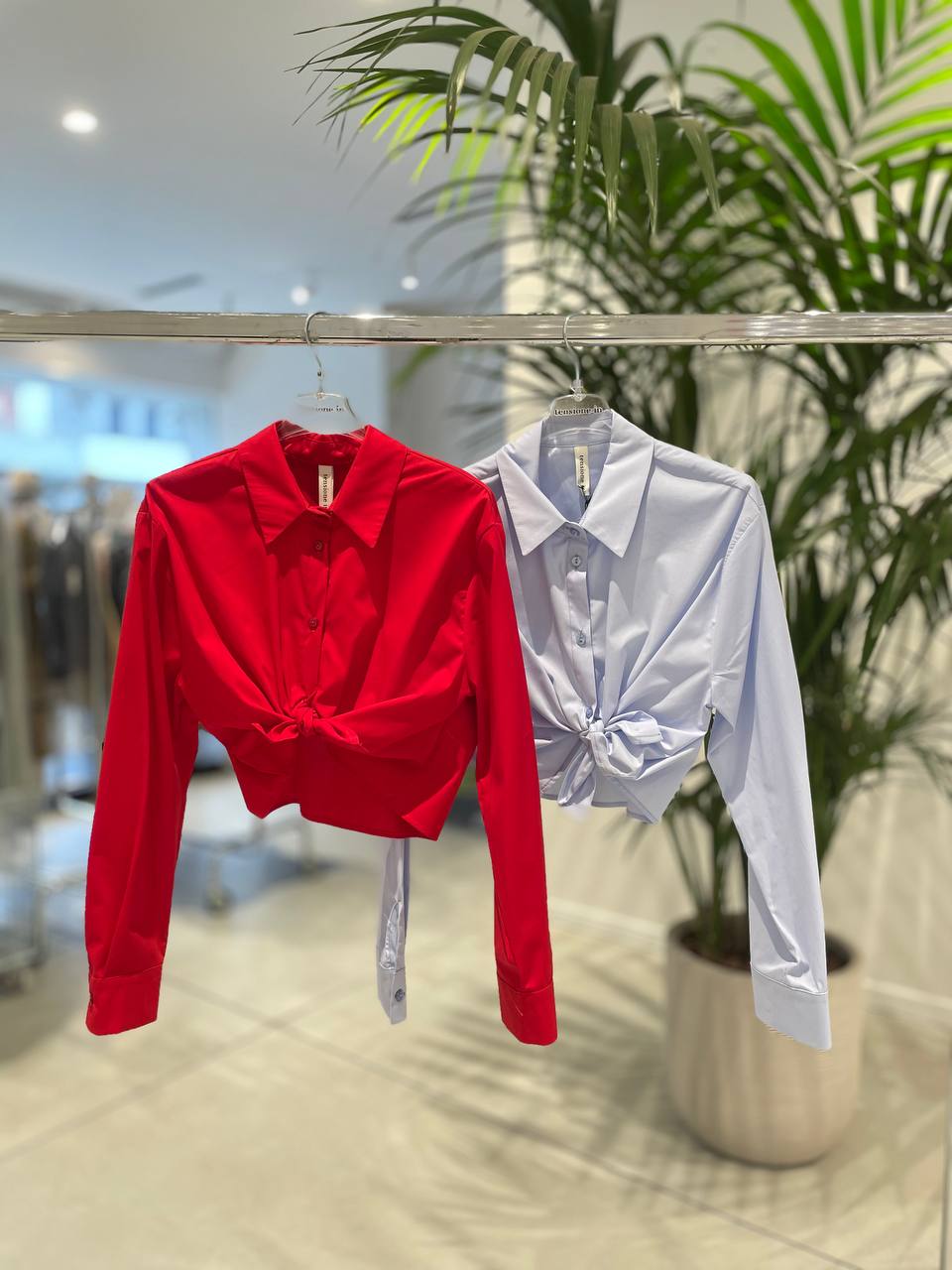 Фото Tensione in