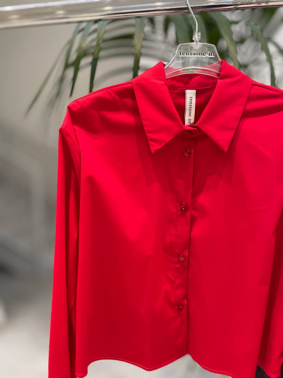 Фото Tensione in