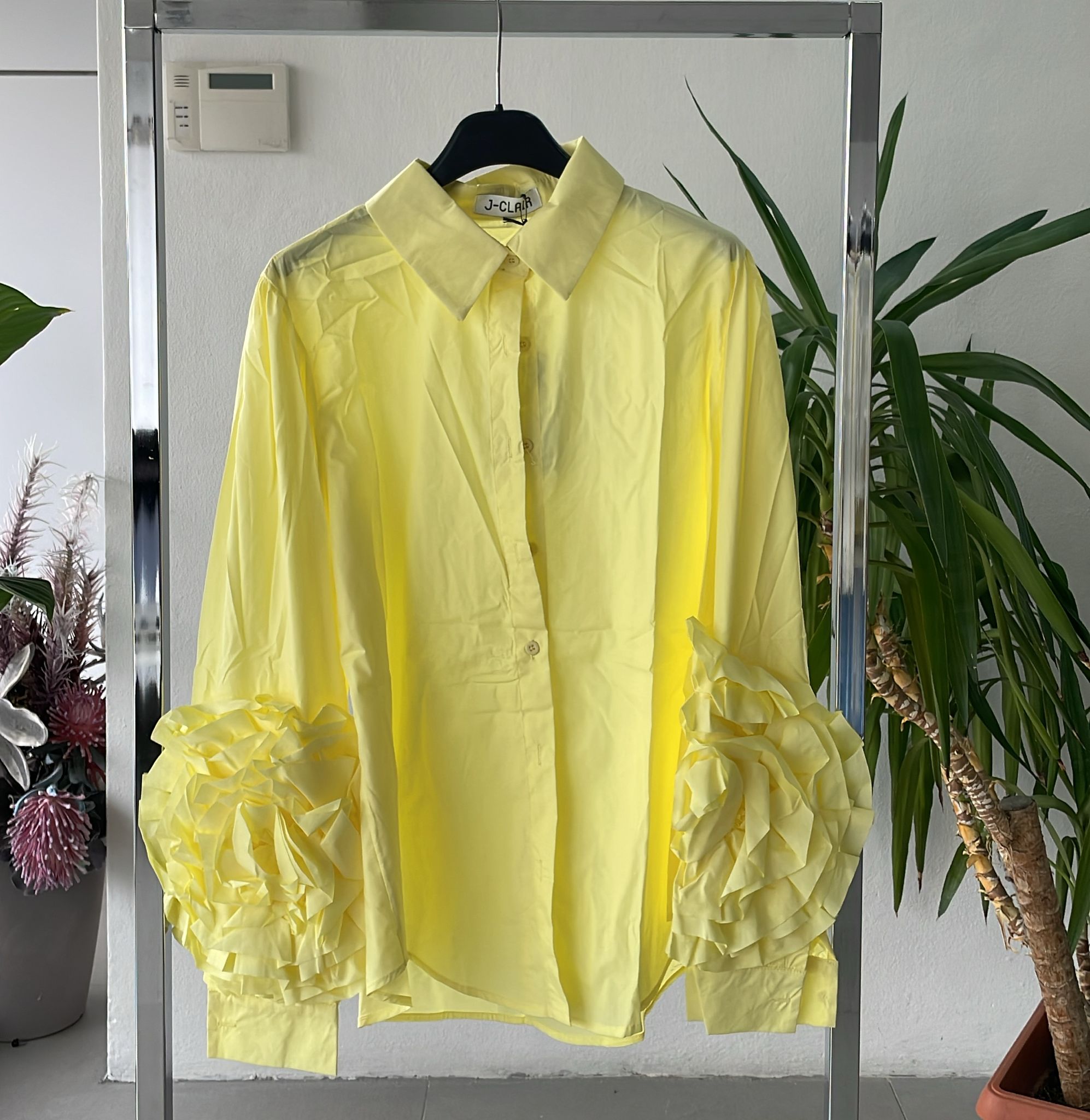 Фото Joie Clair (J-Clair)