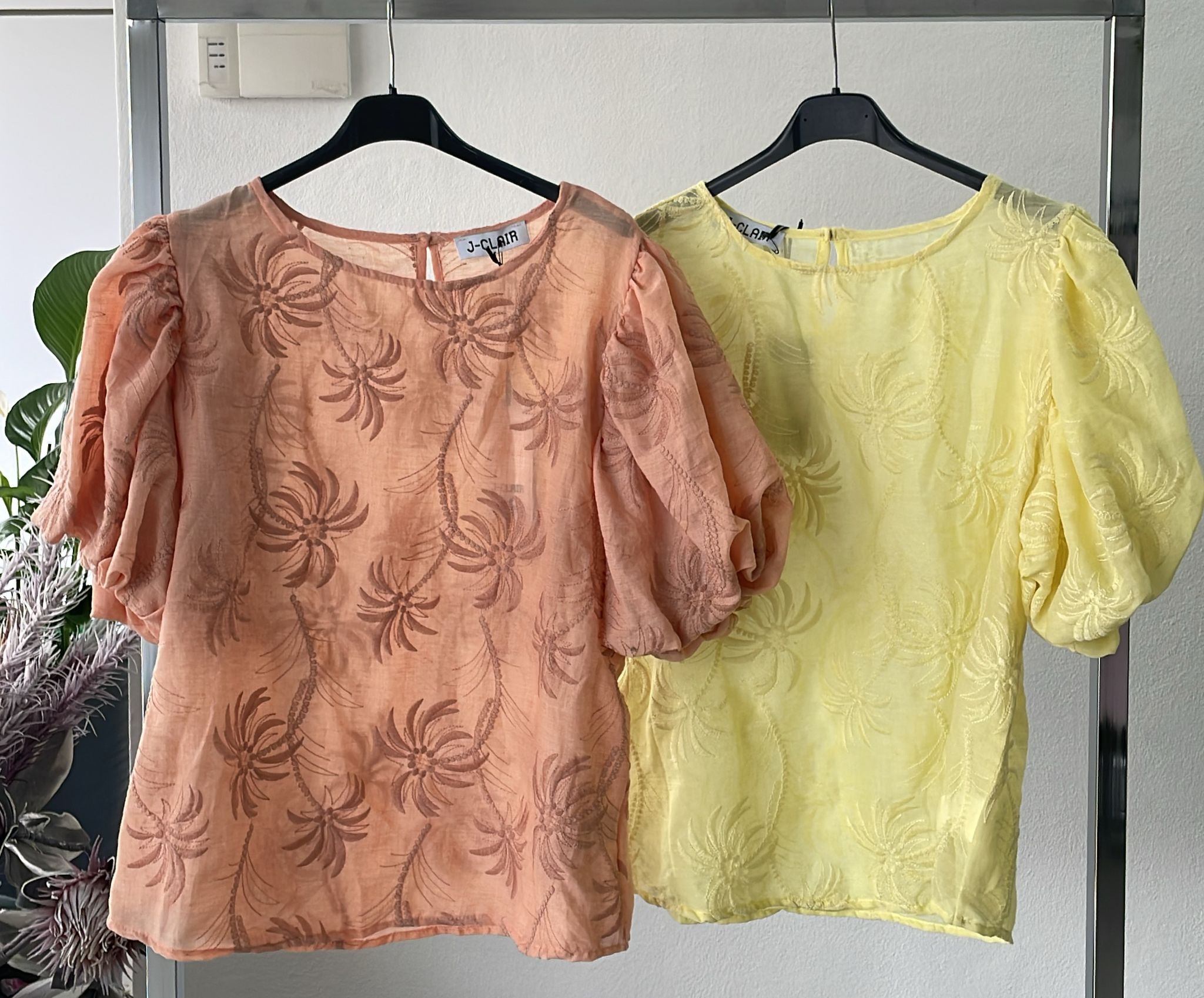 Фото Joie Clair (J-Clair)