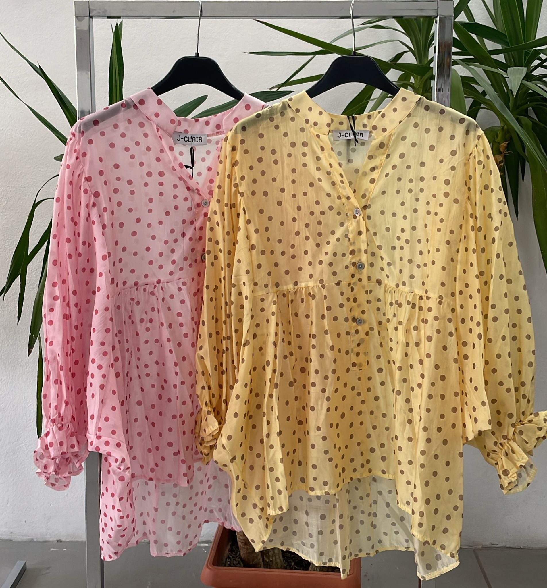 Фото Joie Clair (J-Clair)