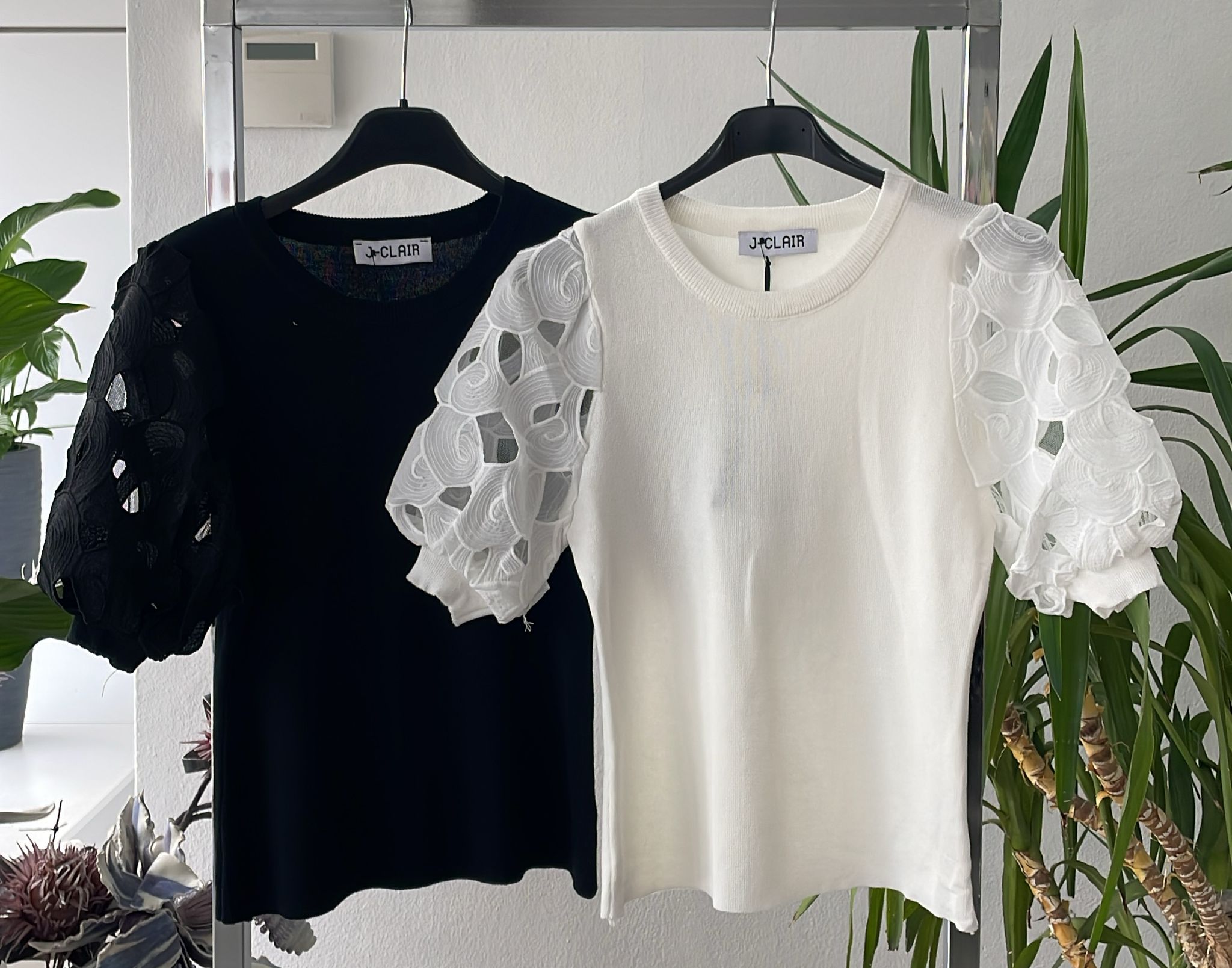 Фото Joie Clair (J-Clair)