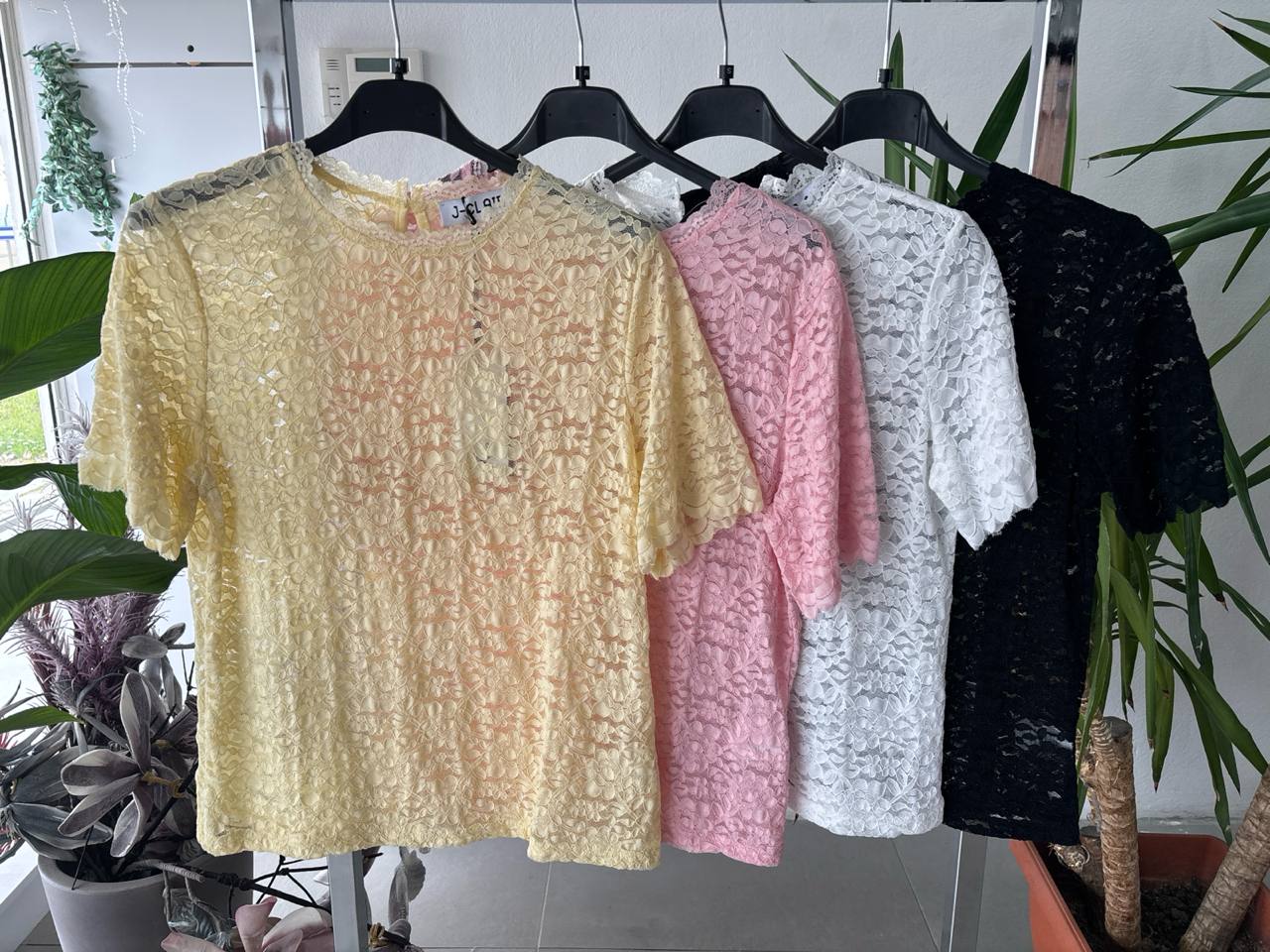 Фото Joie Clair (J-Clair)