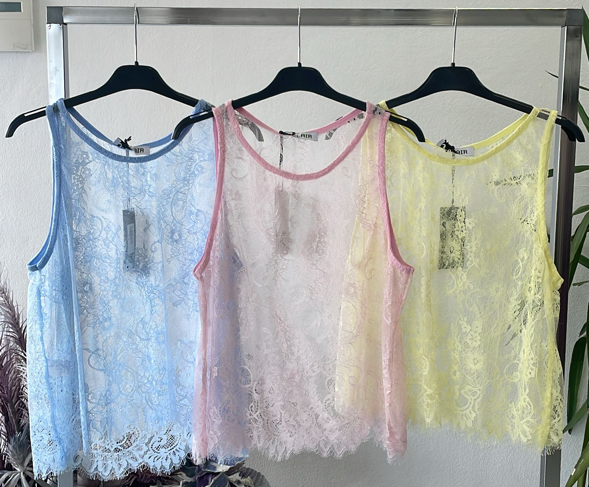 Фото Joie Clair (J-Clair)