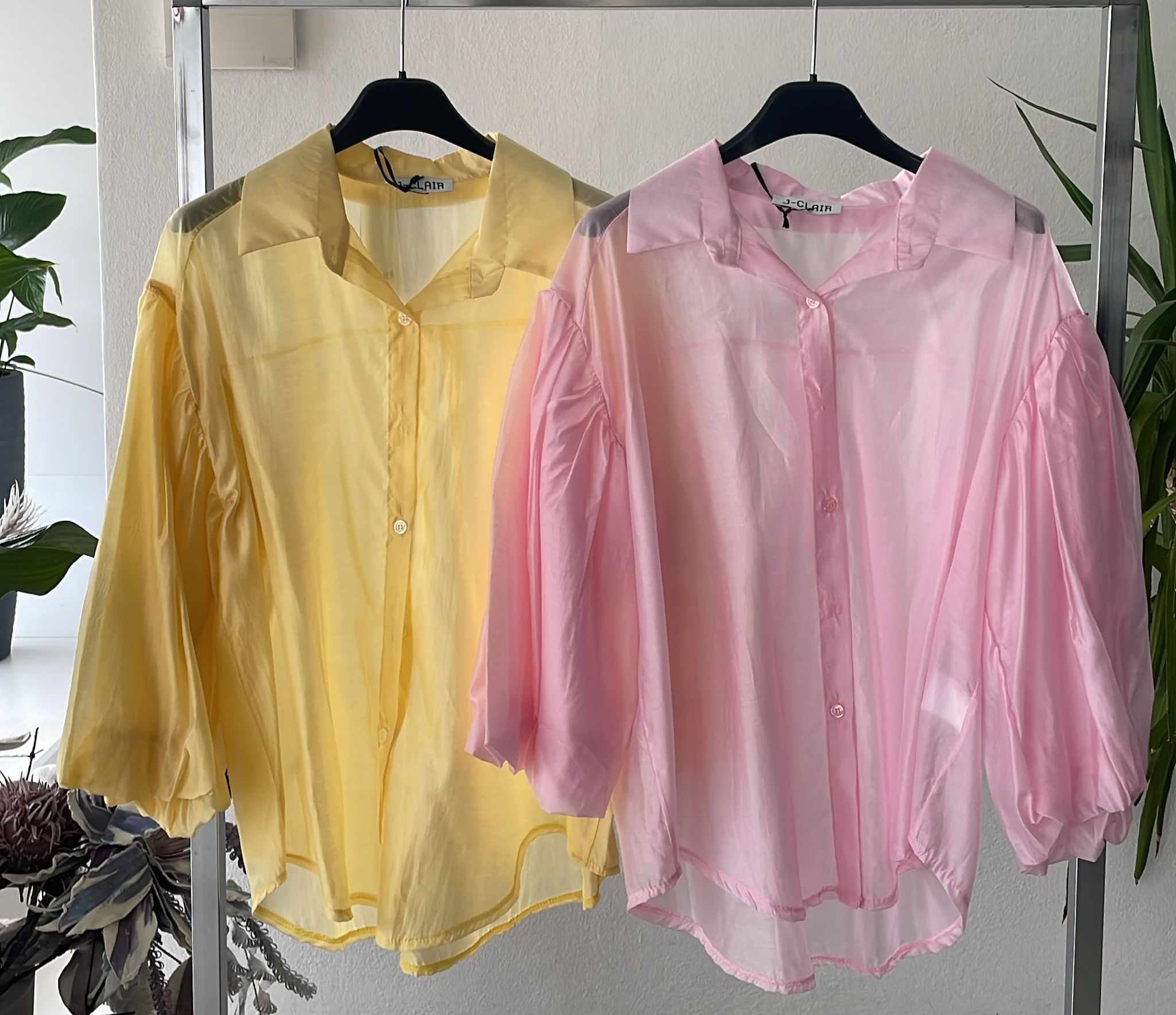 Фото Joie Clair (J-Clair)