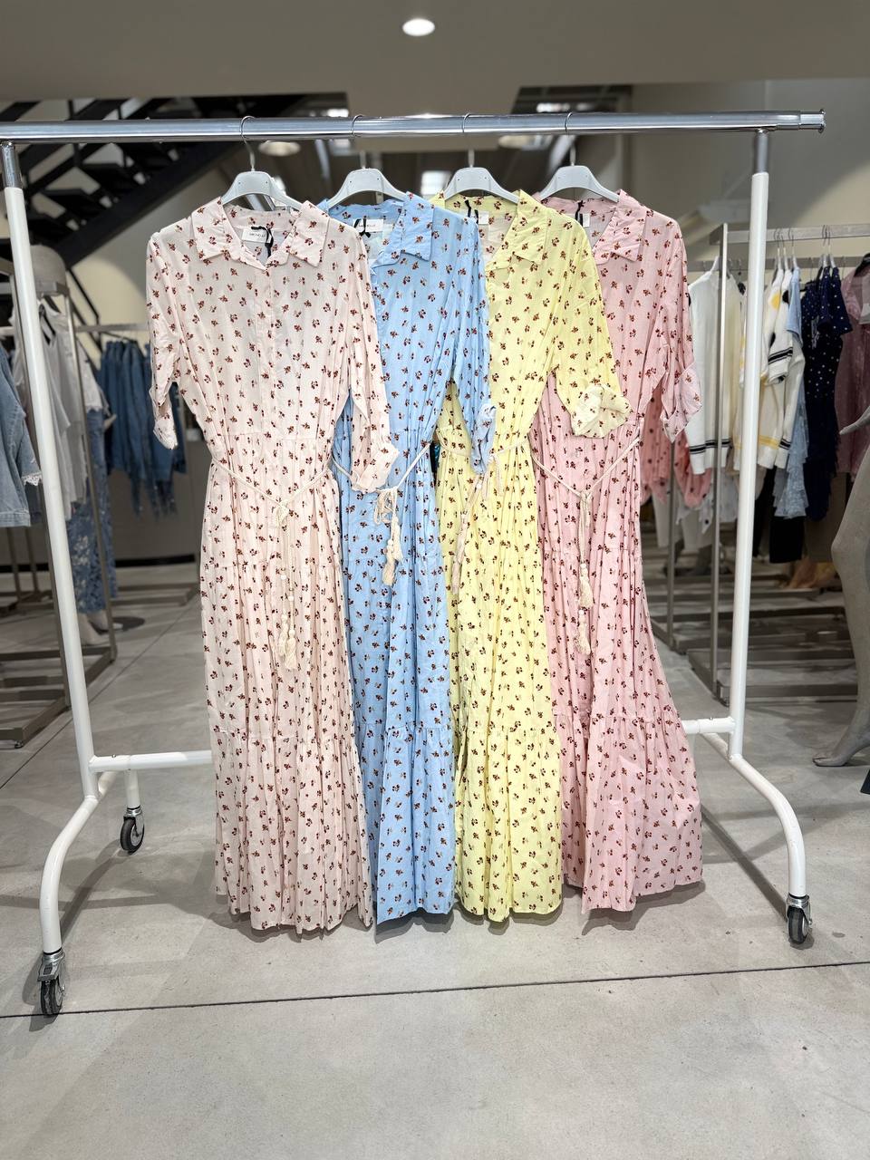 Фото Amelie Follies (Michelle)