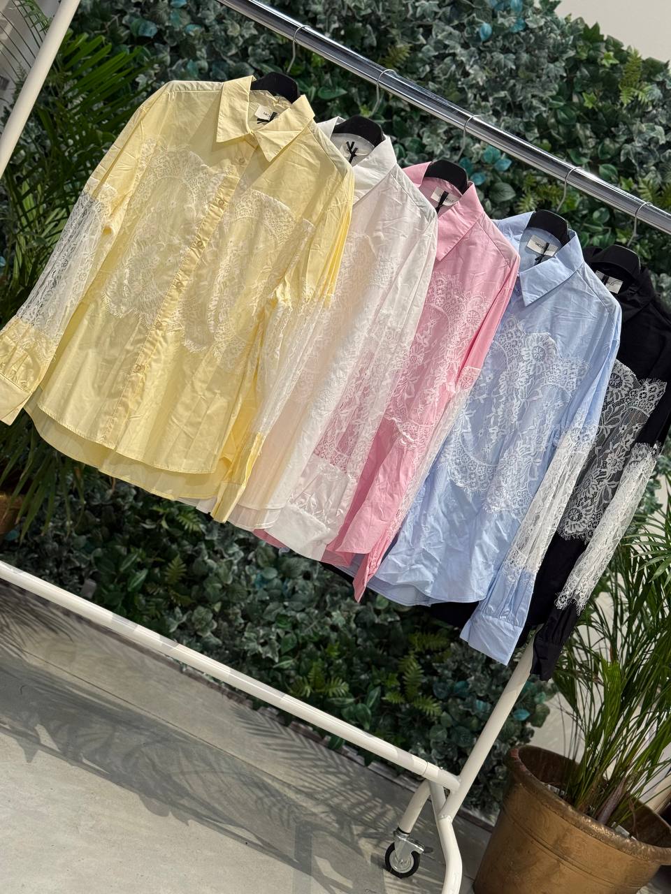 Фото Amelie Follies (Michelle)