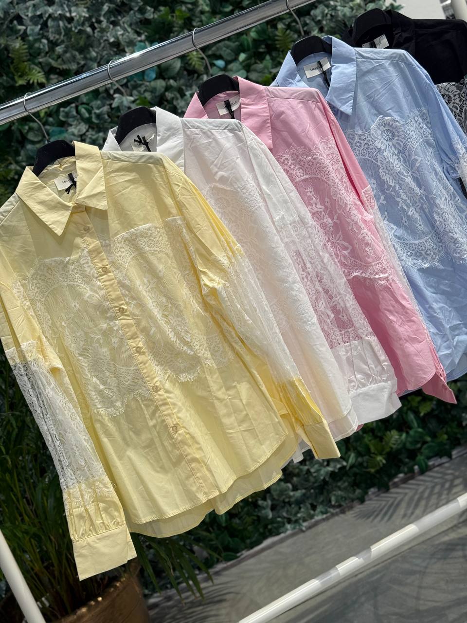 Фото Amelie Follies (Michelle)