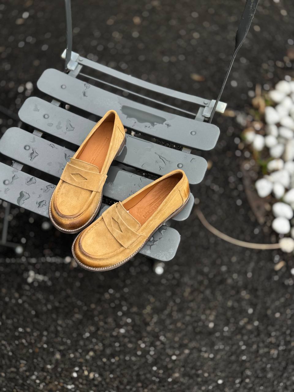 Фото Federica Lancioni