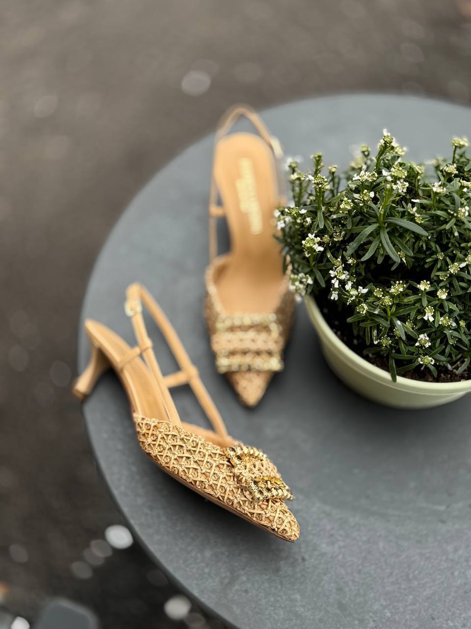 Фото Federica Lancioni