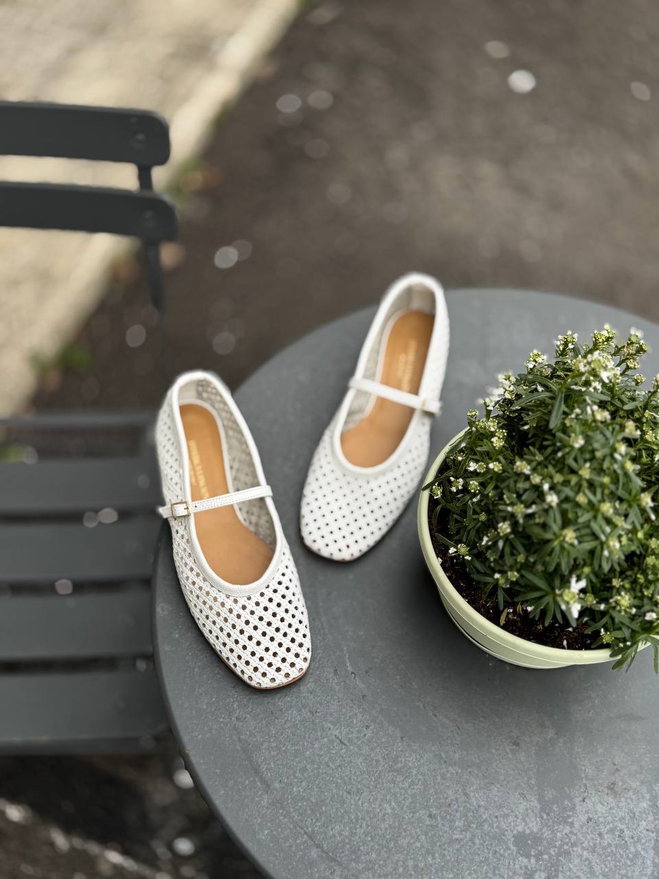 Фото Federica Lancioni