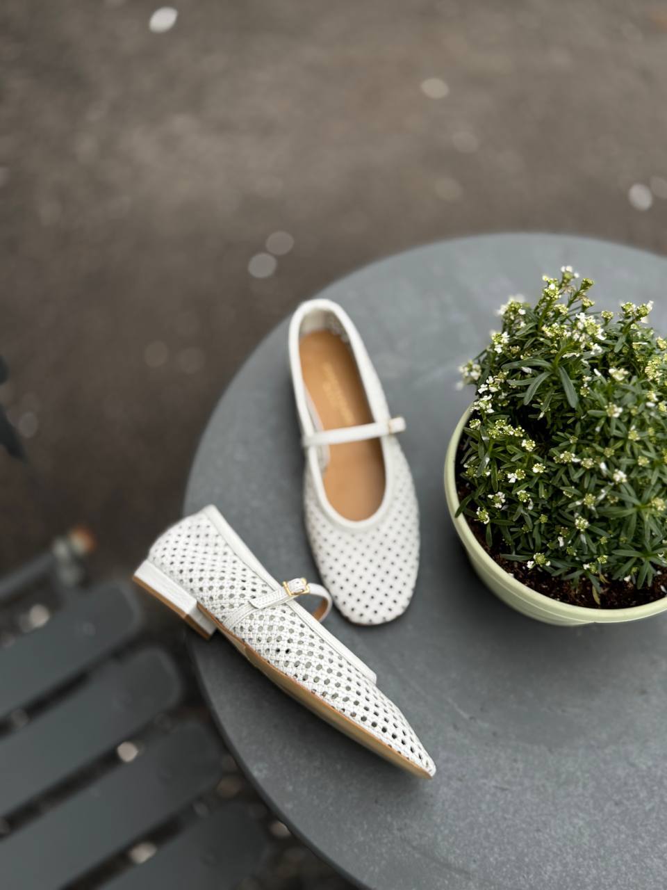 Фото Federica Lancioni