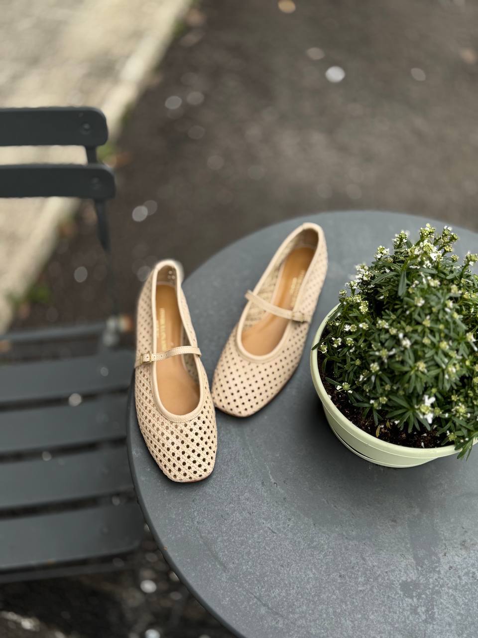 Фото Federica Lancioni