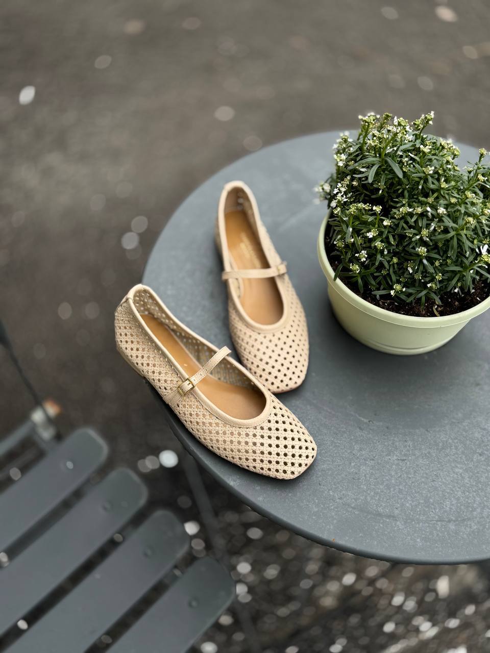 Фото Federica Lancioni