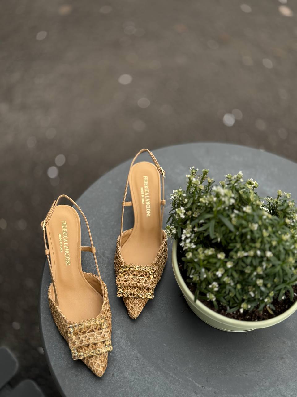 Фото Federica Lancioni