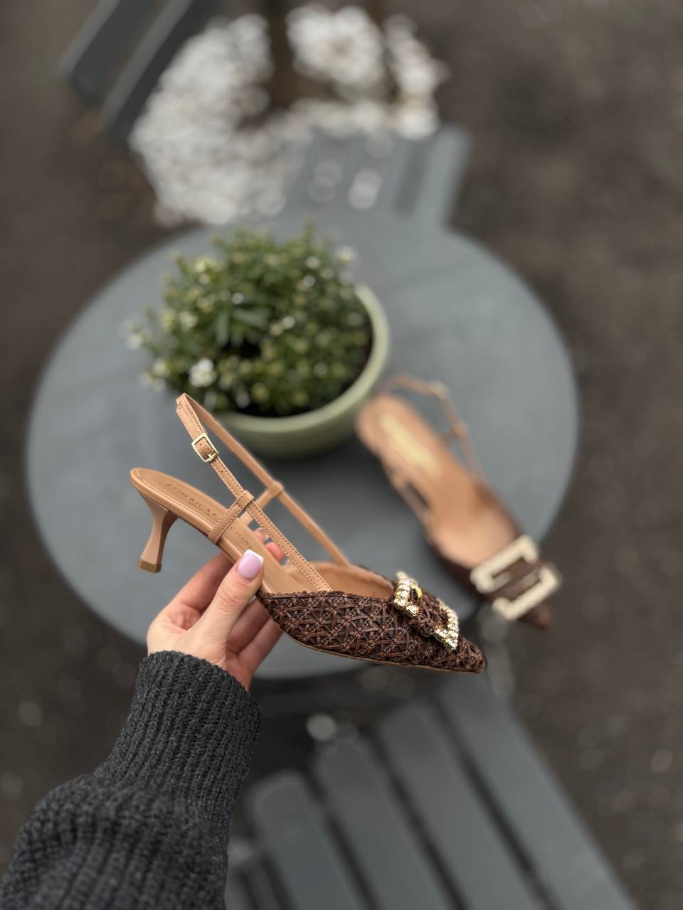 Фото Federica Lancioni