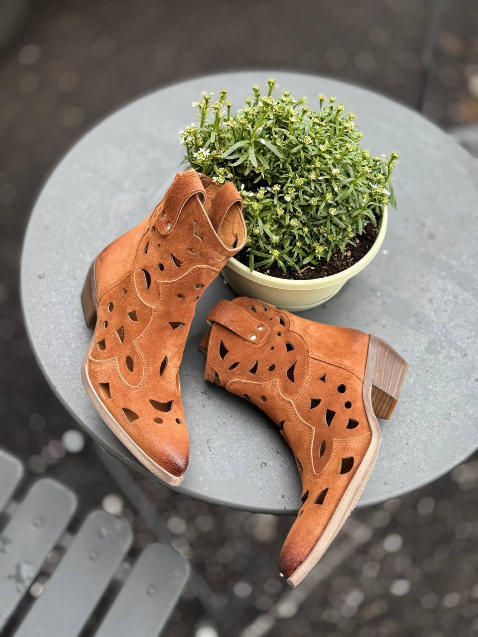 Фото Federica Lancioni