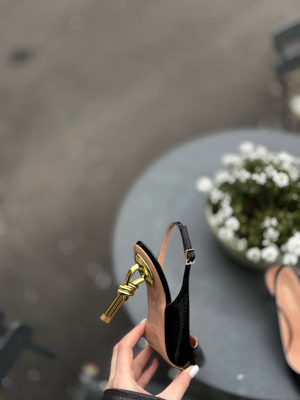 Фото Federica Lancioni