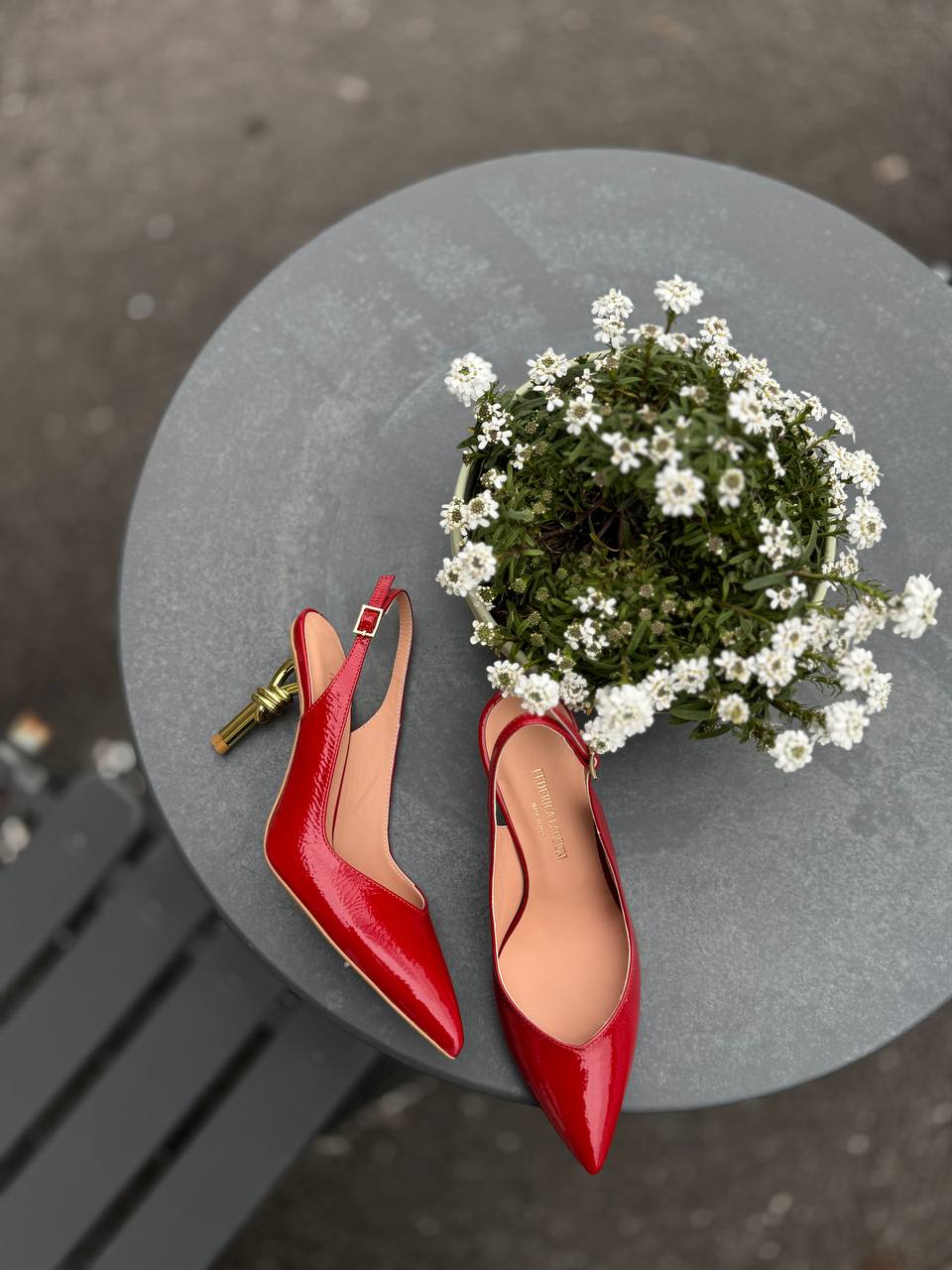 Фото Federica Lancioni