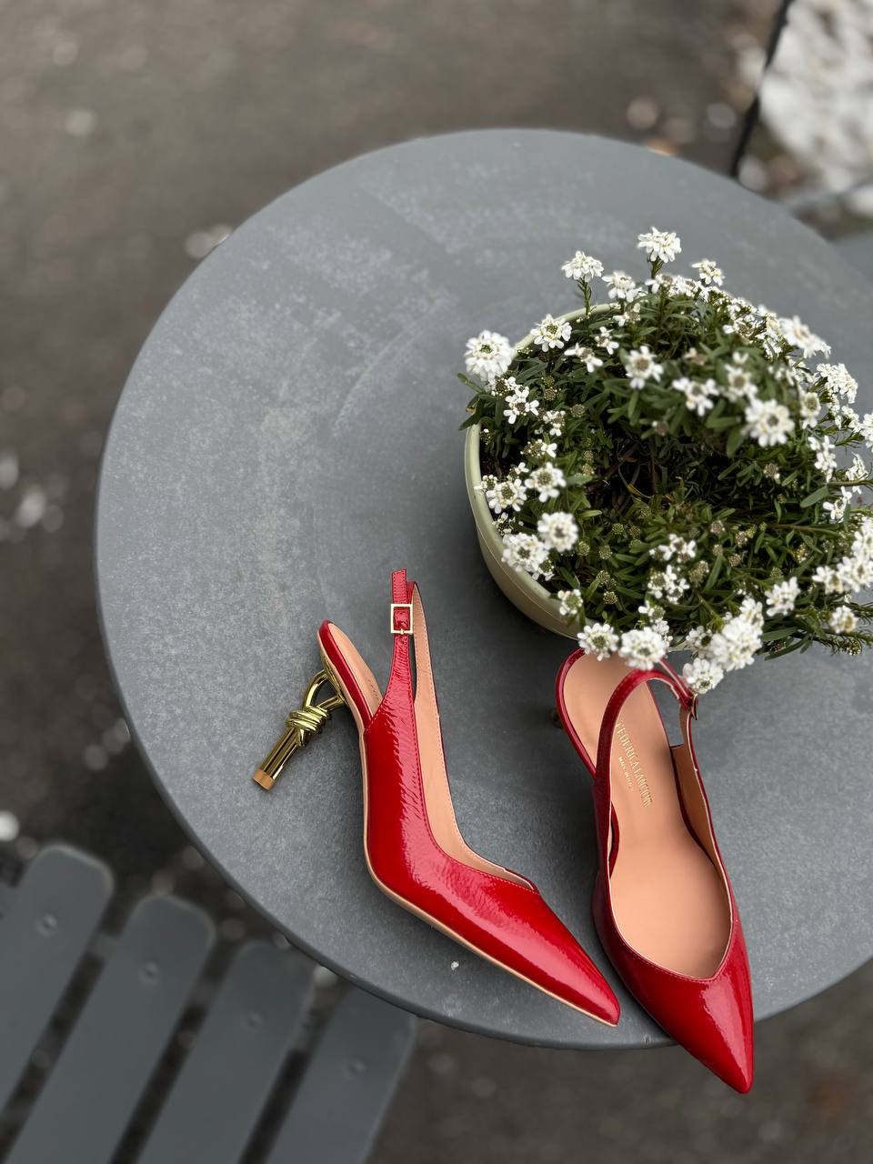 Фото Federica Lancioni