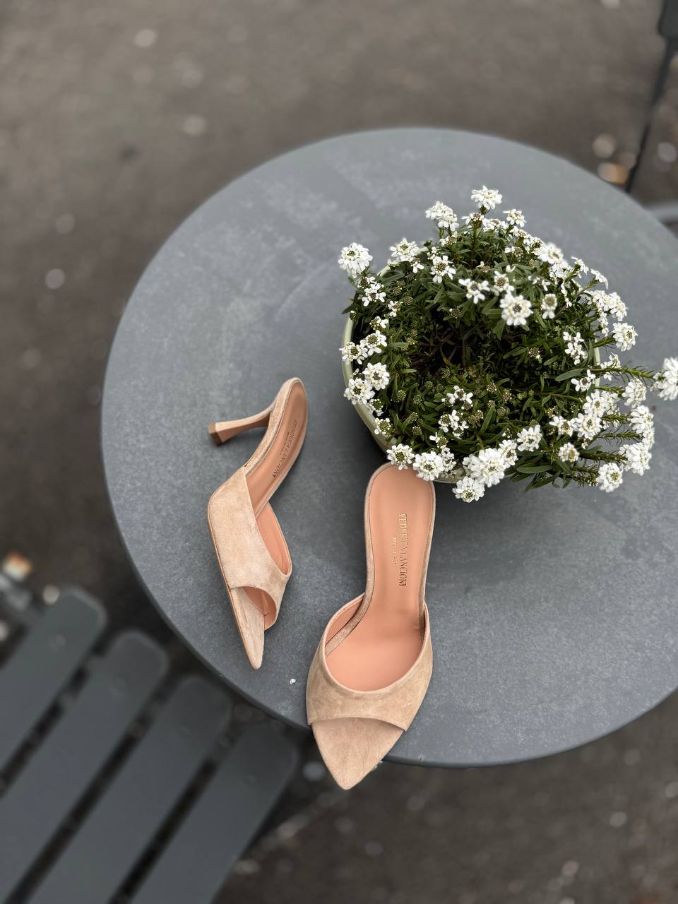 Фото Federica Lancioni