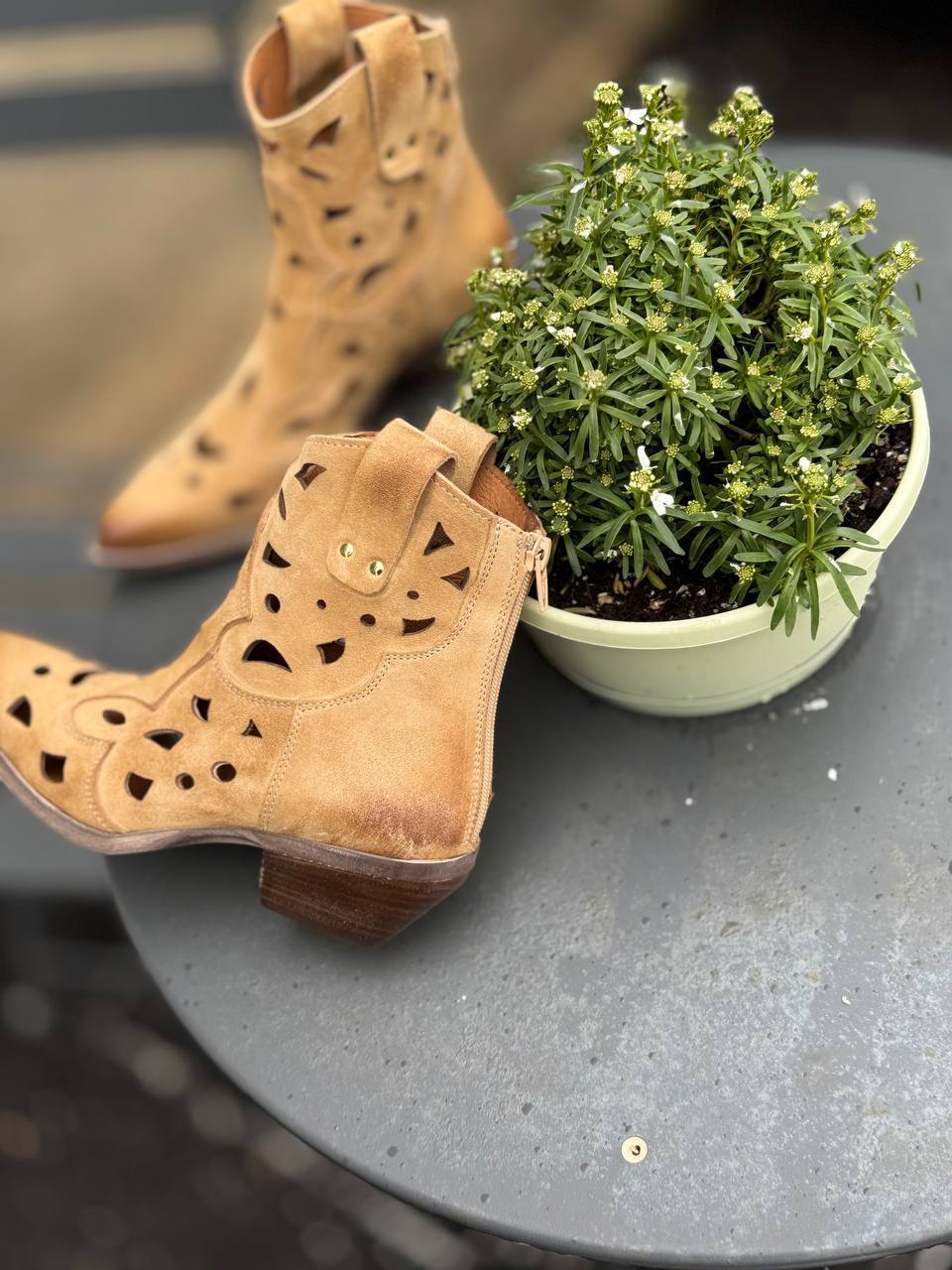 Фото Federica Lancioni