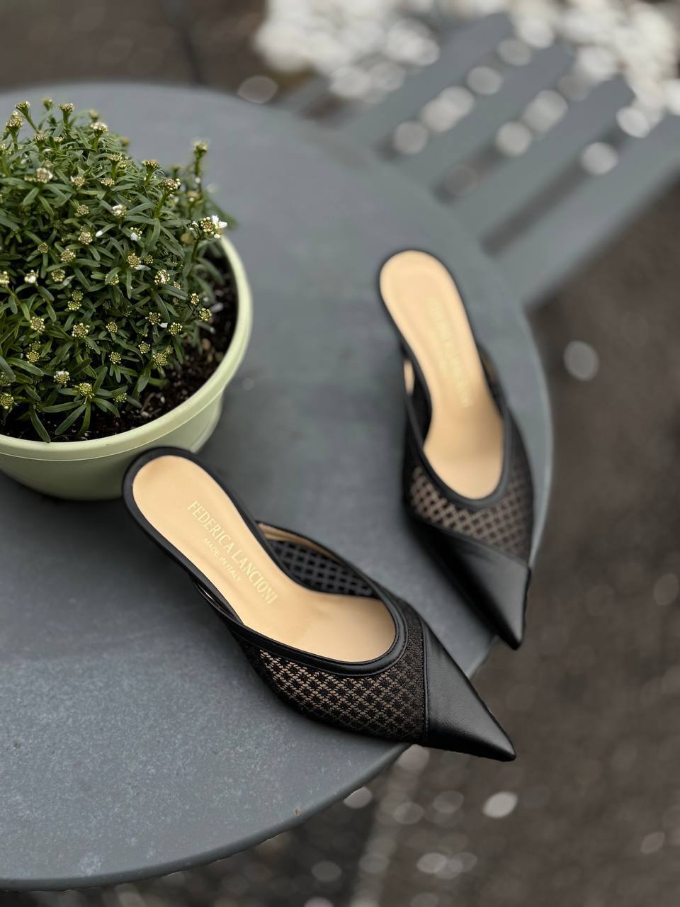 Фото Federica Lancioni