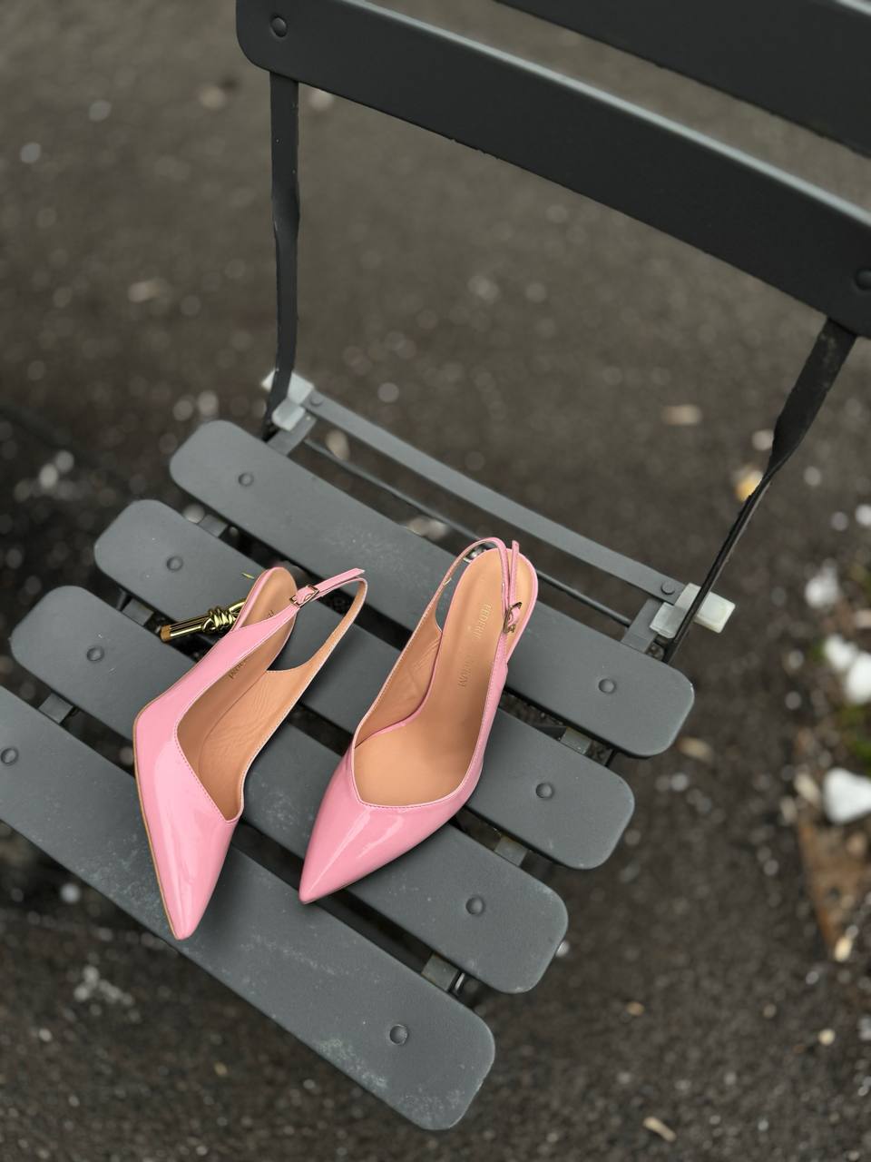 Фото Federica Lancioni