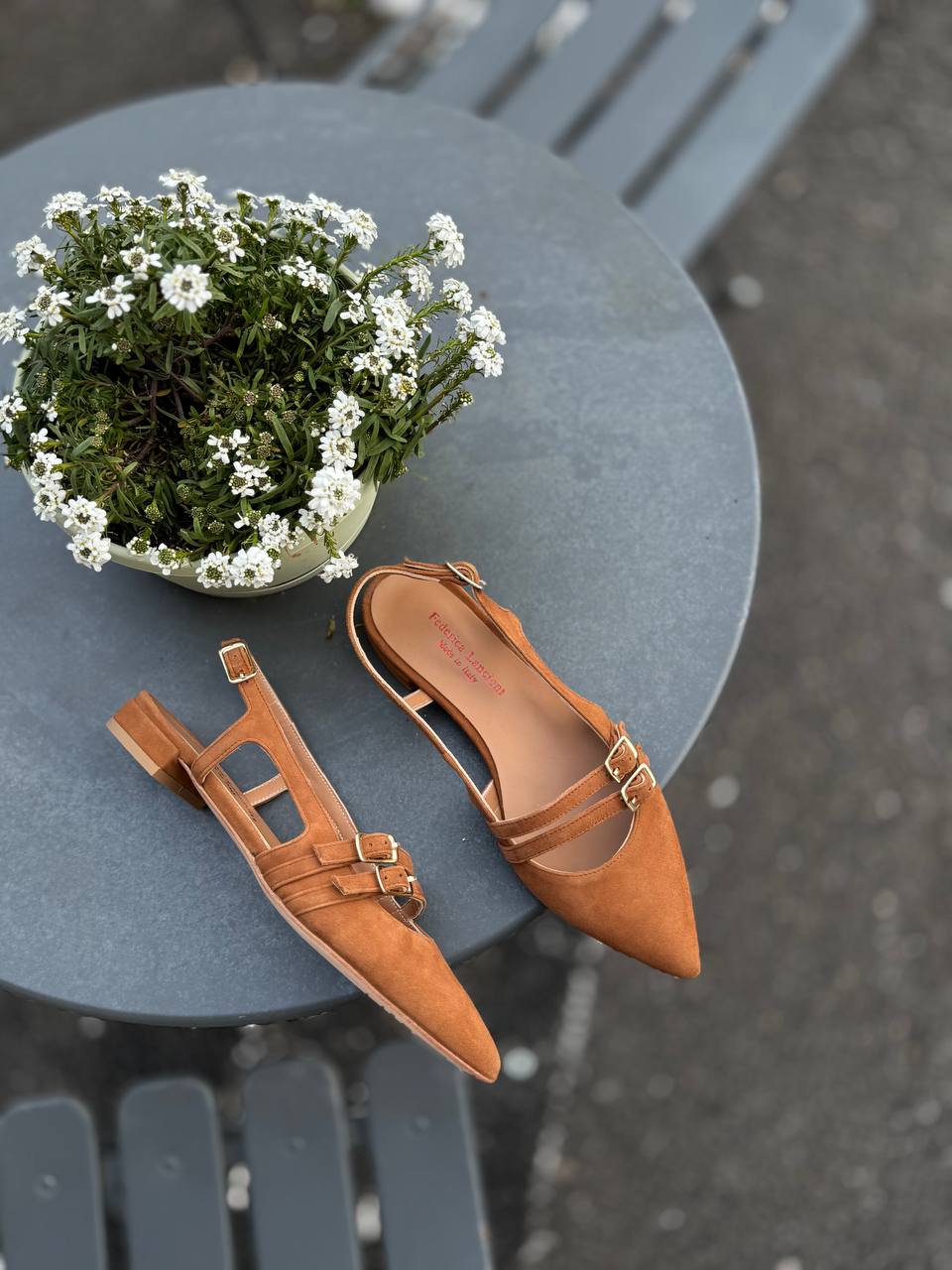 Фото Federica Lancioni