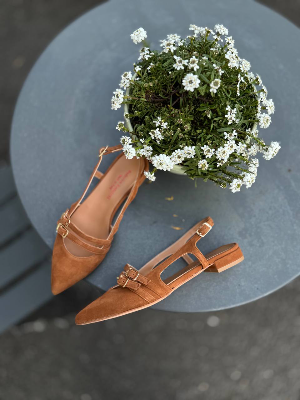 Фото Federica Lancioni