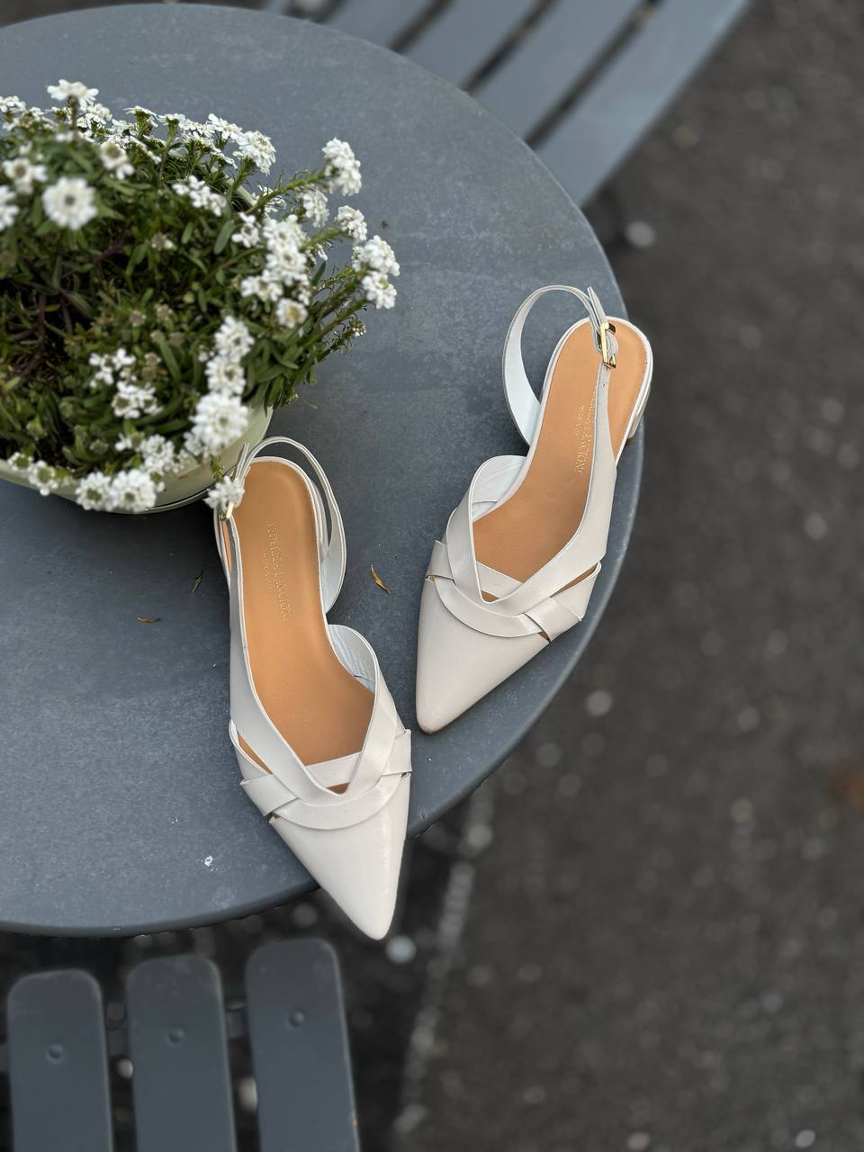 Фото Federica Lancioni