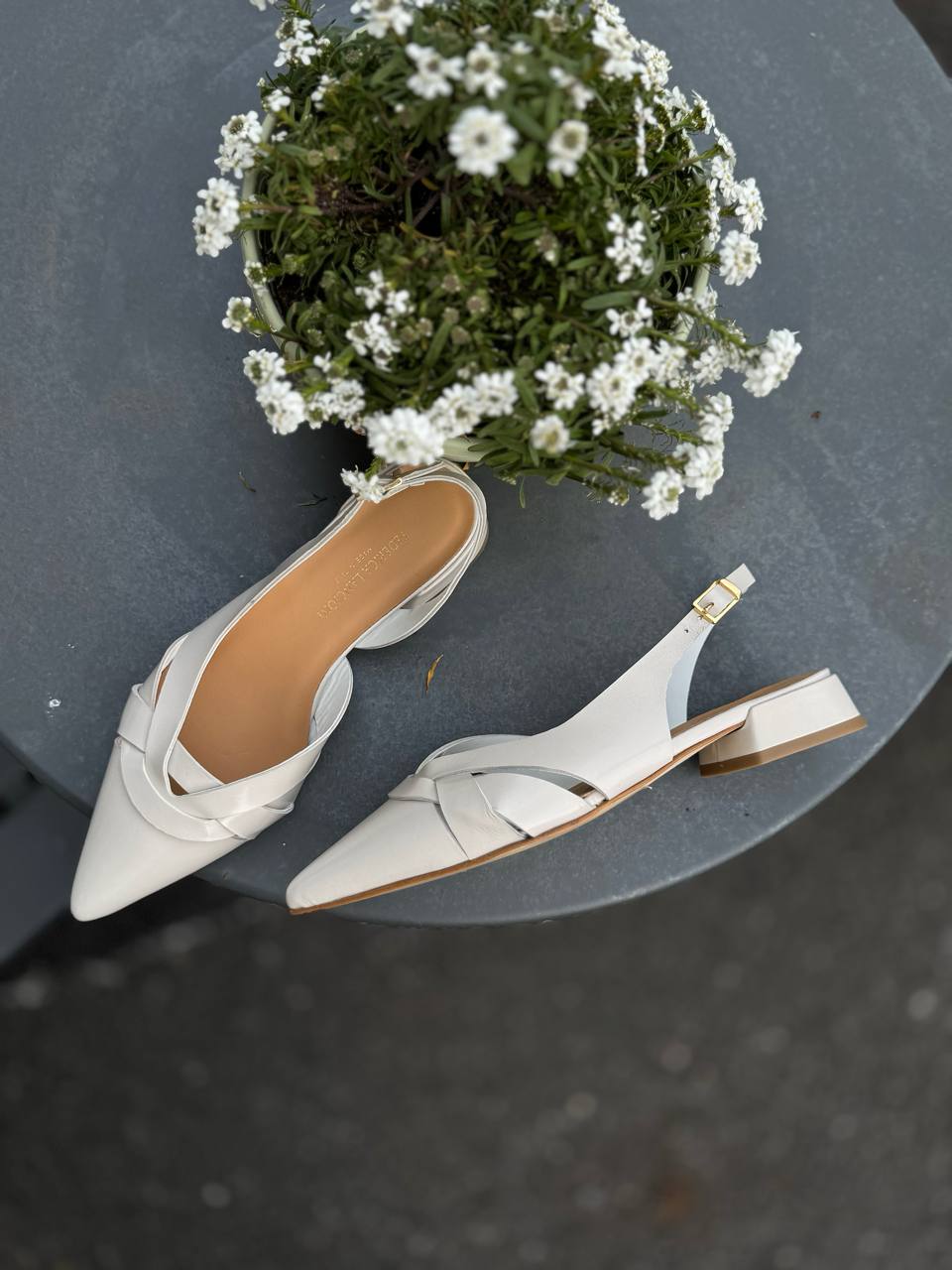 Фото Federica Lancioni