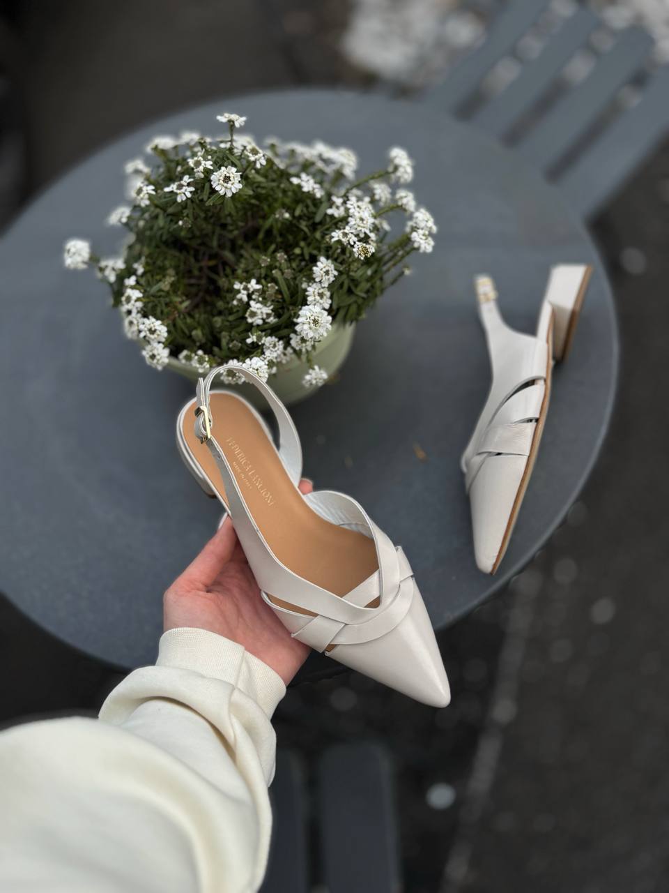 Фото Federica Lancioni