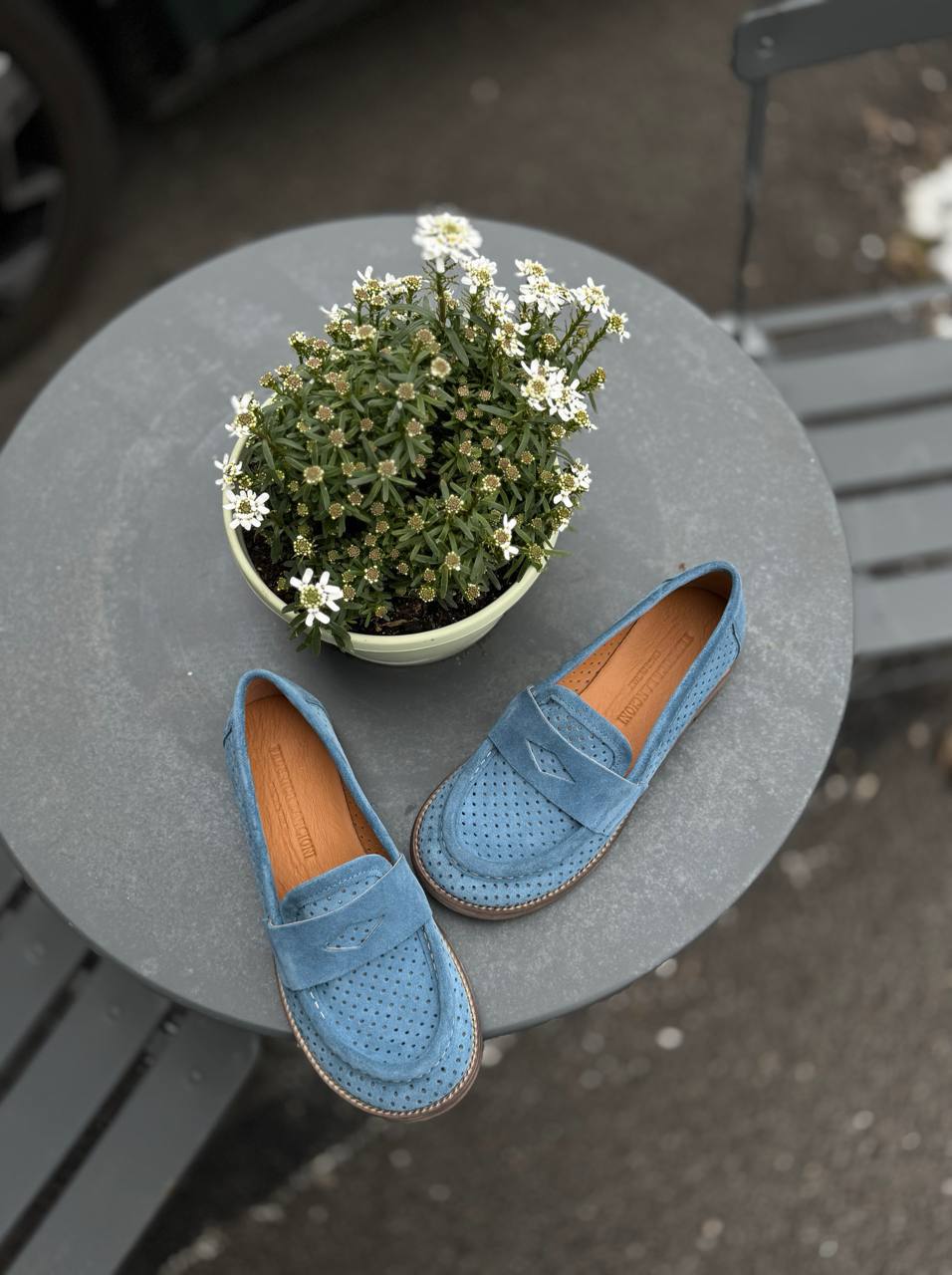 Фото Federica Lancioni